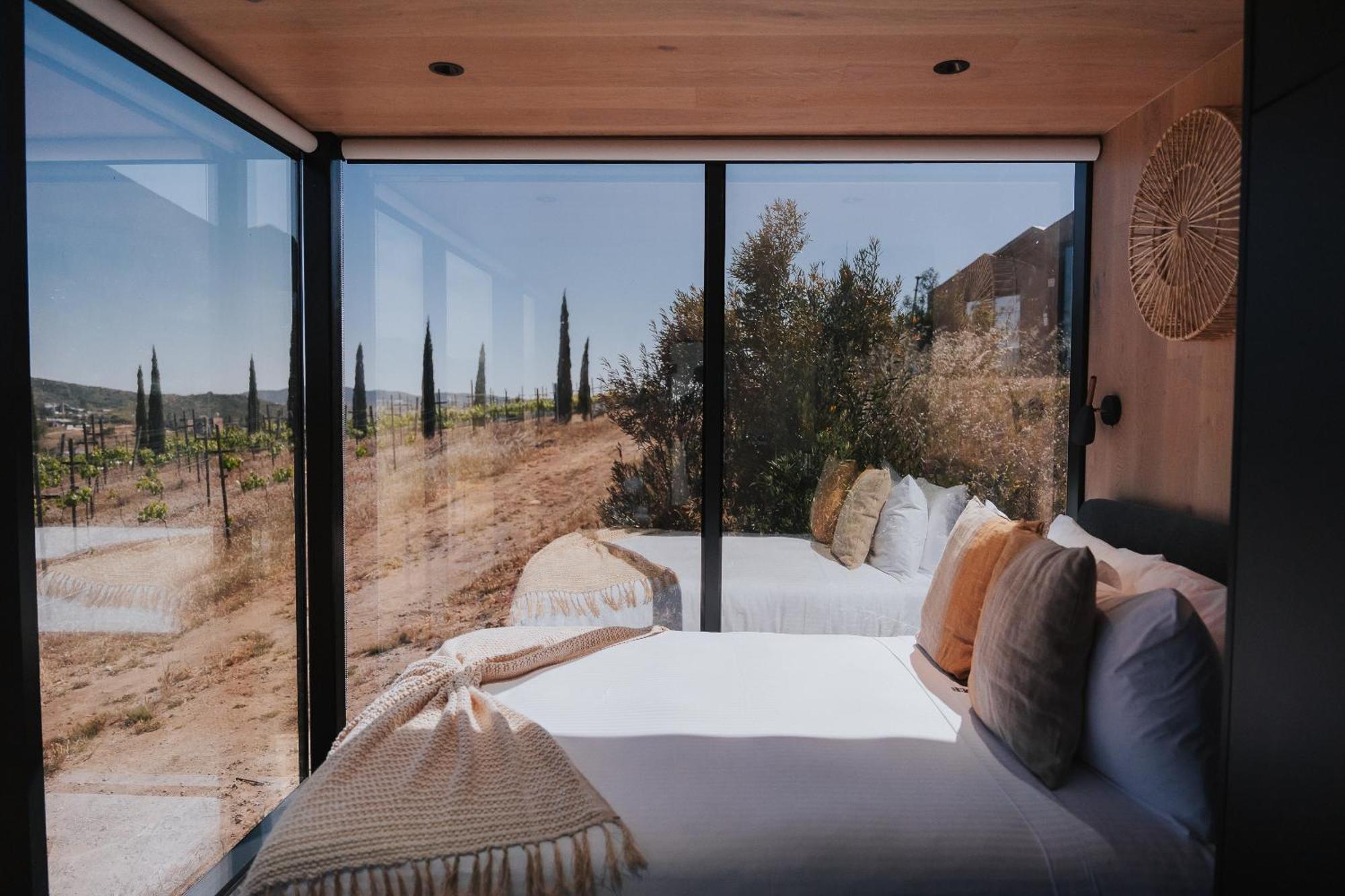 Hotel Bajo Estrellas Contemporaneo Valle de Guadalupe